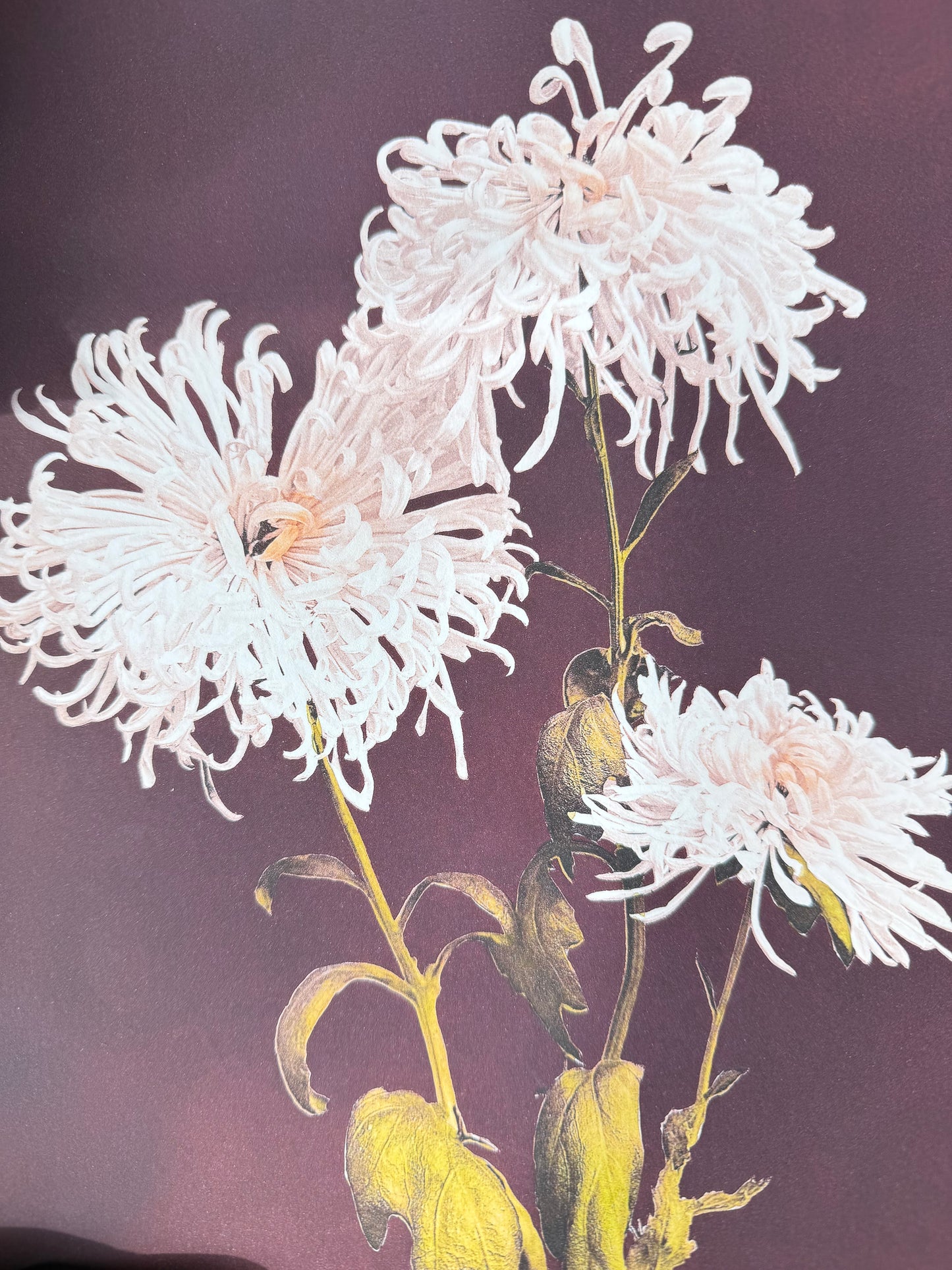 Art & Flowers Lover Gift Box