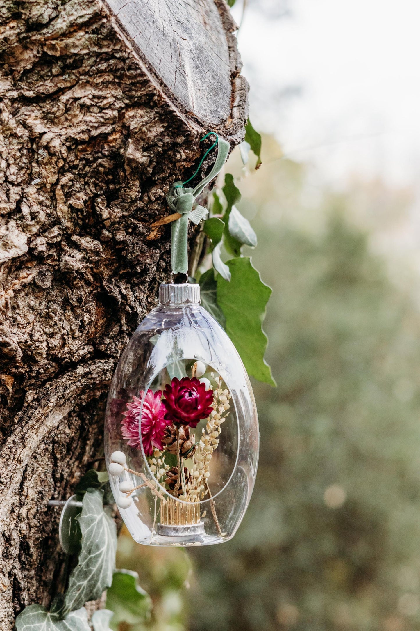 Terrarium Ornament - Dried strawflowers, cress and mini pinecones inside an acrylic terrarium style ornament; hung by a pine color velvet ribbon.