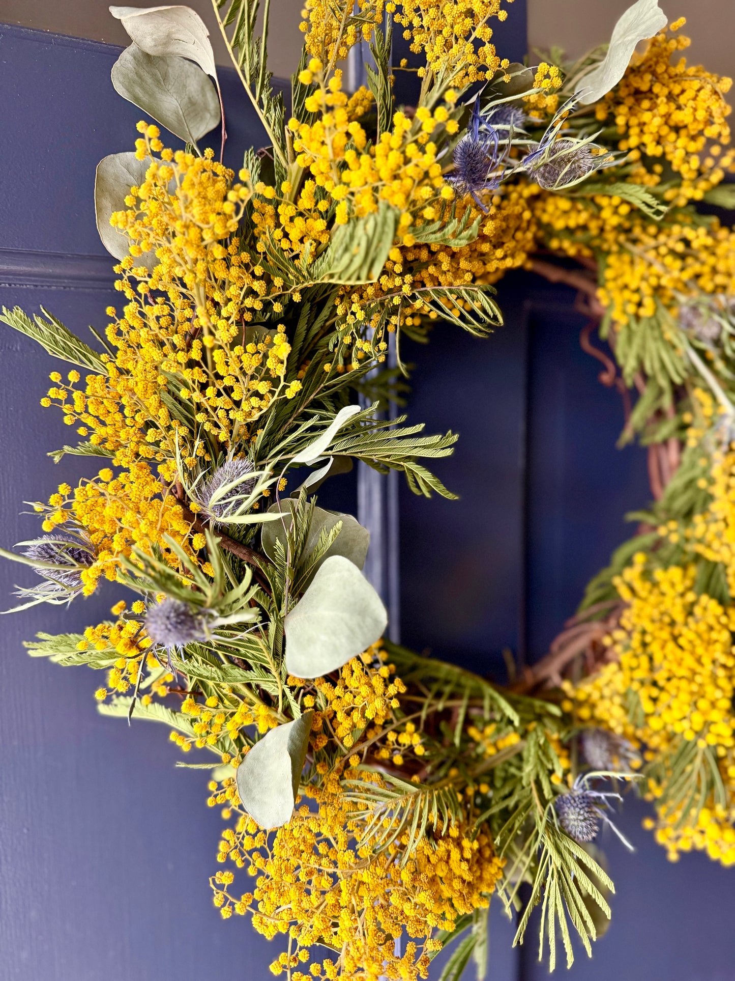 Preserved Mimosa Wreath