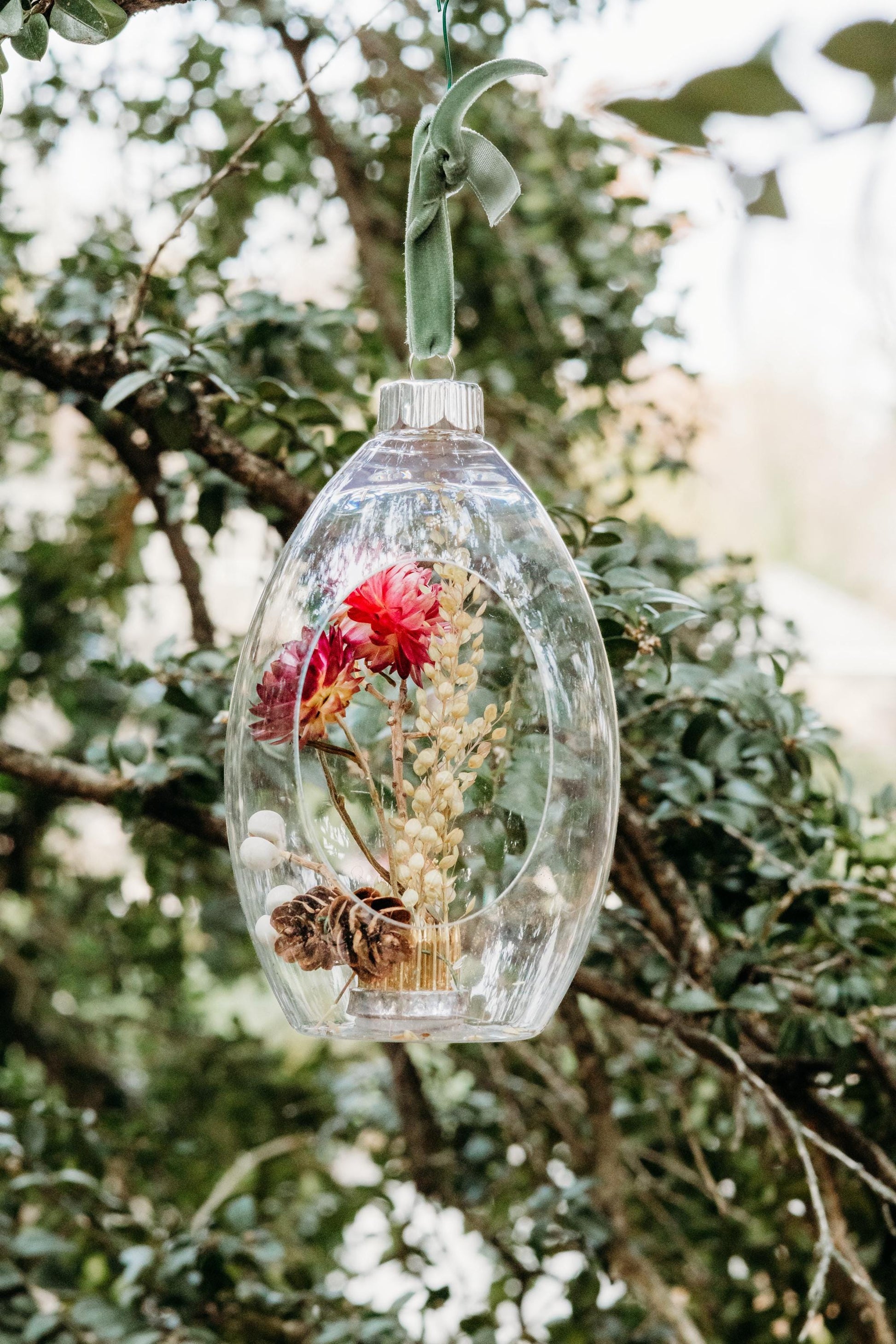 Terrarium Ornament - Dried strawflowers, cress and mini pinecones inside an acrylic terrarium style ornament; hung by a pine color velvet ribbon.