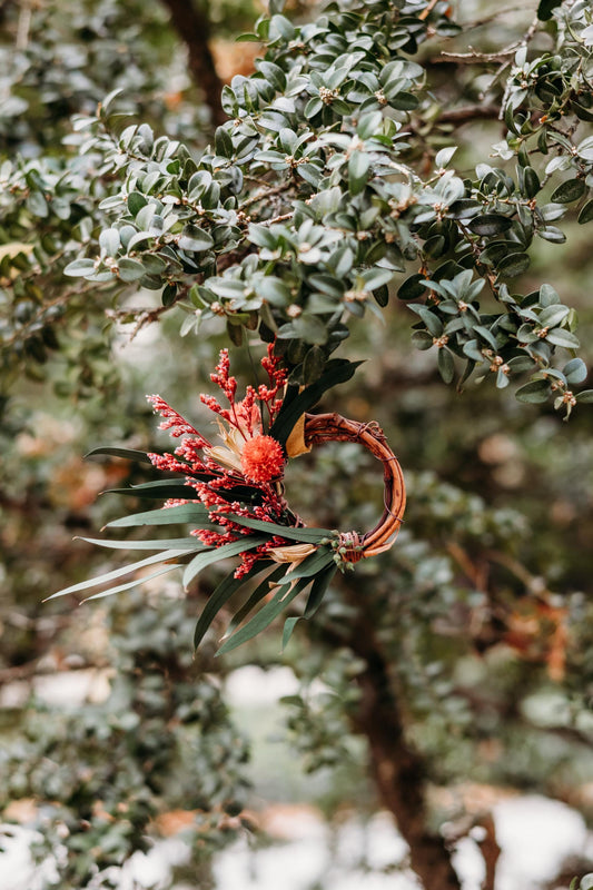 Cassiopeia Wreath Ornament - Preserved seeded eucalyptus, globe amaranth, caspia and nigella wrapped around a grapevine base wreath; hung by a gold color velvet ribbon.